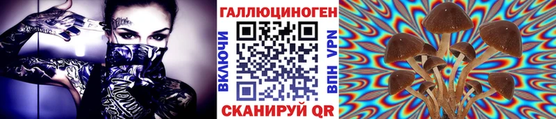 Галлюциногенные грибы GOLDEN TEACHER  закладка  OMG ONION  Мытищи 