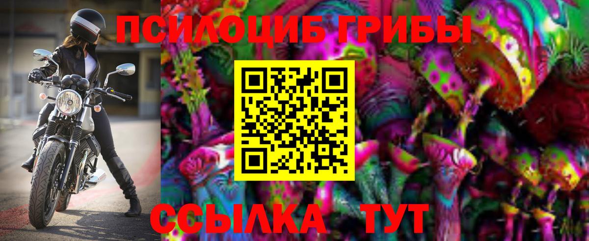 Мытищи  Галлюциногенные грибы GOLDEN TEACHER  Вход с VPN 